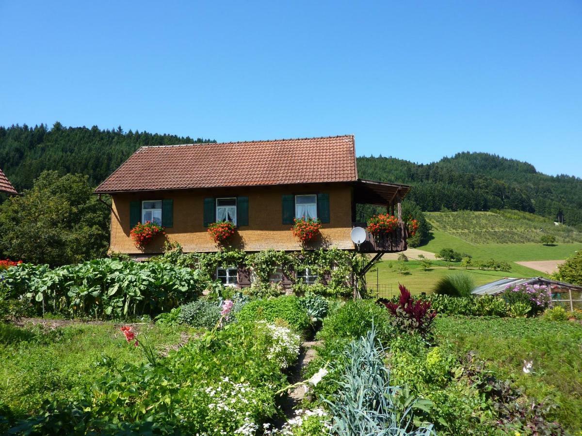 צל אם האמרשבאך Ferienhaus Eck מראה חיצוני תמונה